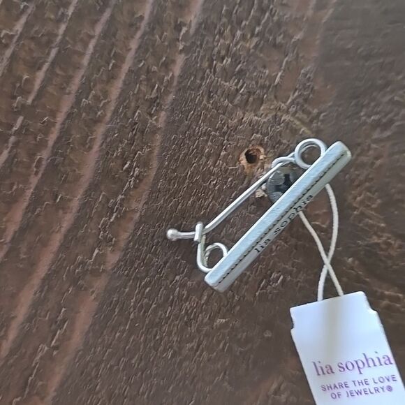 Lia Sophia Brand Jewelry Silver Retired Necklace Extender Shortener New - Picture 5 of 10